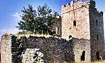 Castle of Zarnata