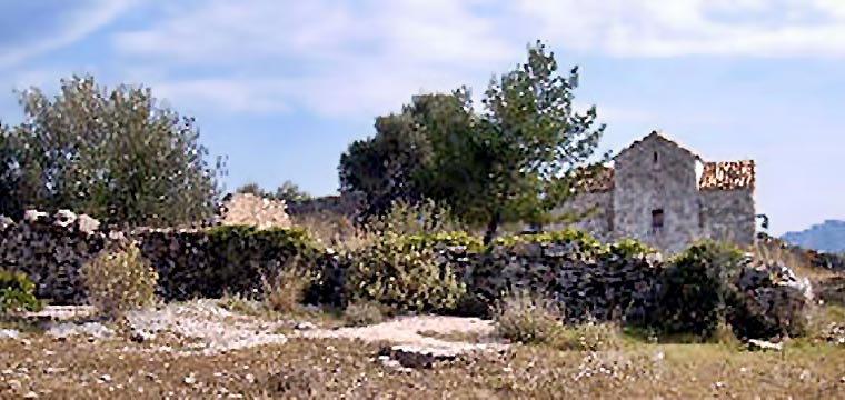 pics/agathanas5.jpg agathanas5