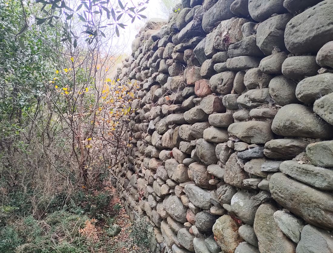 pics/anastas-tmima2.jpg remain of the wall of the part1 (h:3m, w:1.7m)