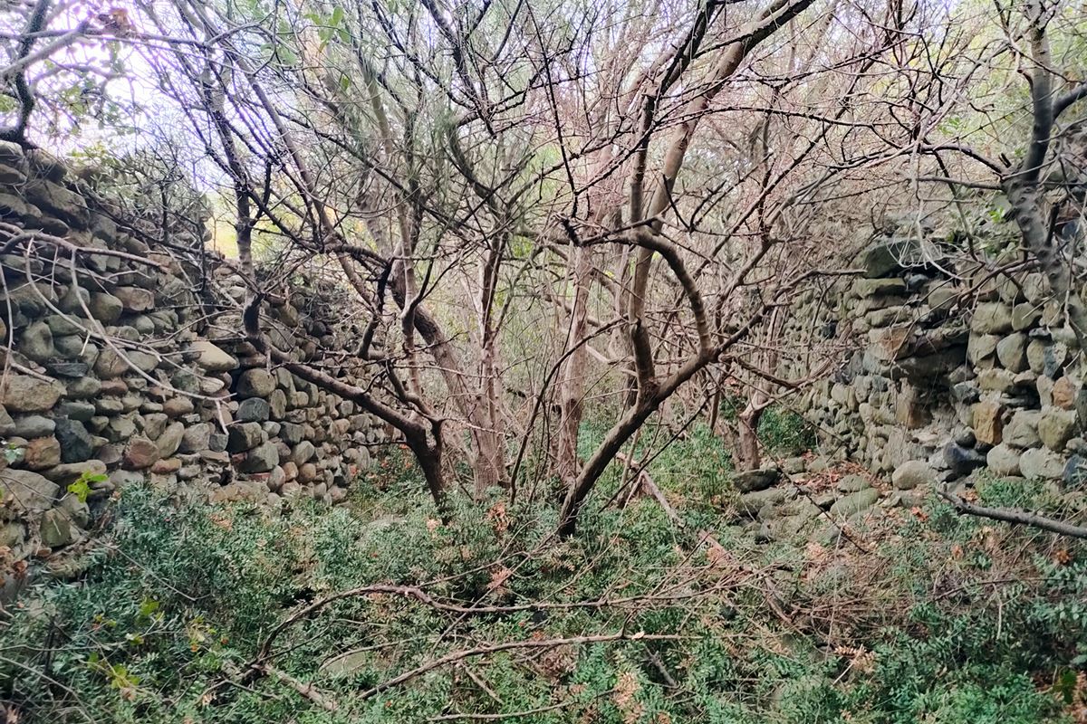 pics/anastas-tmima2_keno.jpg τhe interior space between the external walls in part2