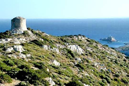 Βίγλα Αυλωνιάς