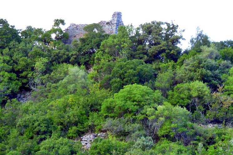 photo by Y.Costopoulos, 2019