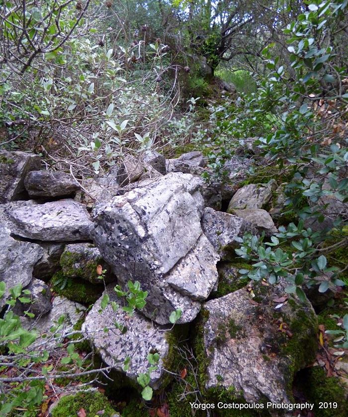 scattered ruins on the hill-photo by Y.Costopoulos, 2019