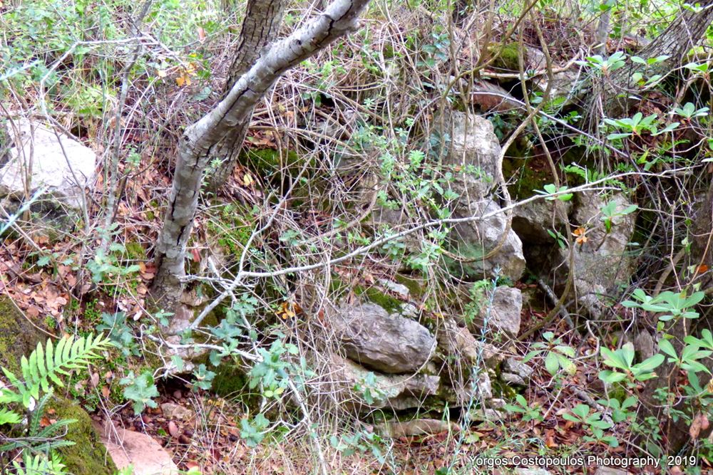 scattered ruins on the hill-photo by Y.Costopoulos, 2019