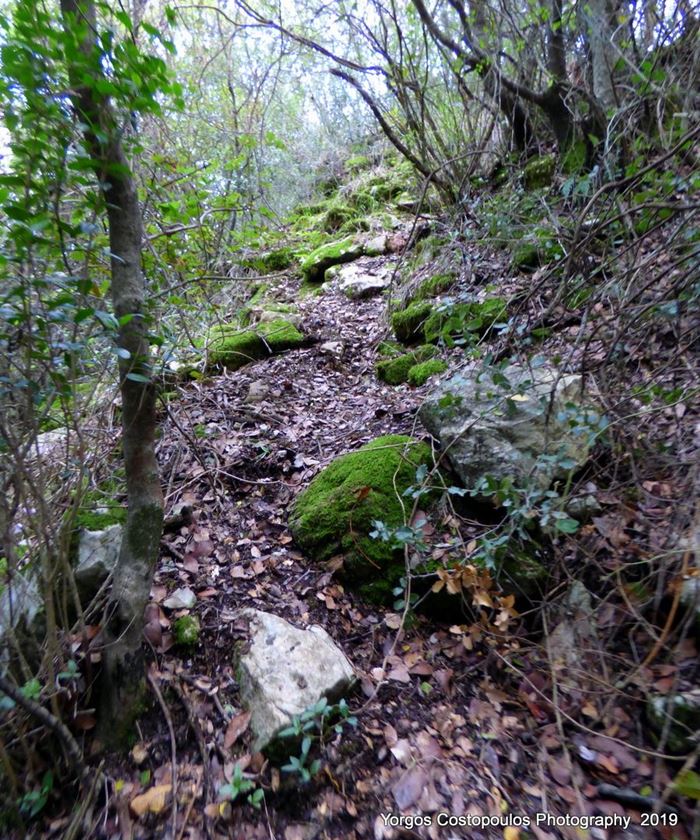path to the castle-photo by Y.Costopoulos, 2019