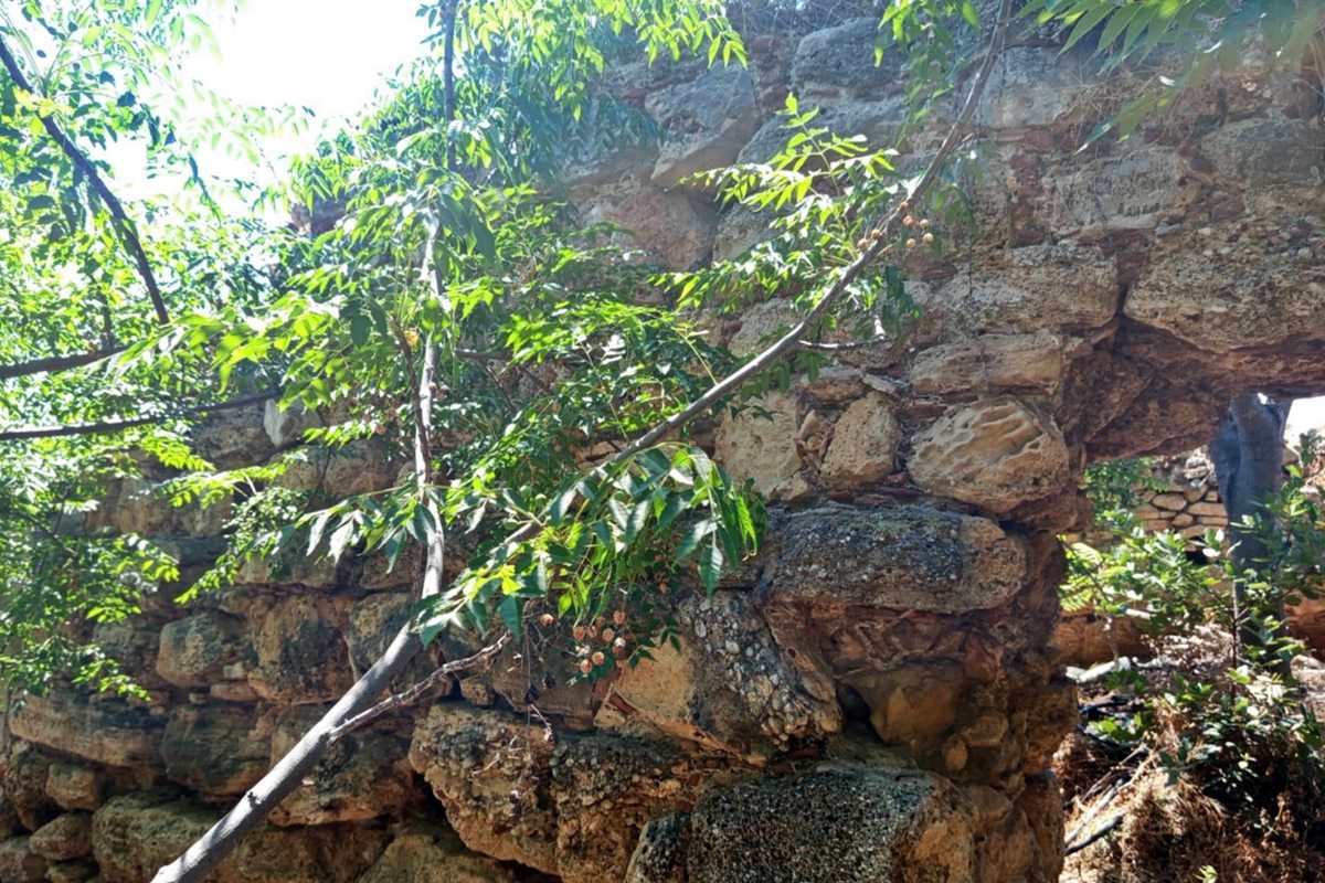 pics/drosia5.jpg the wall masonry left of the eastern opening