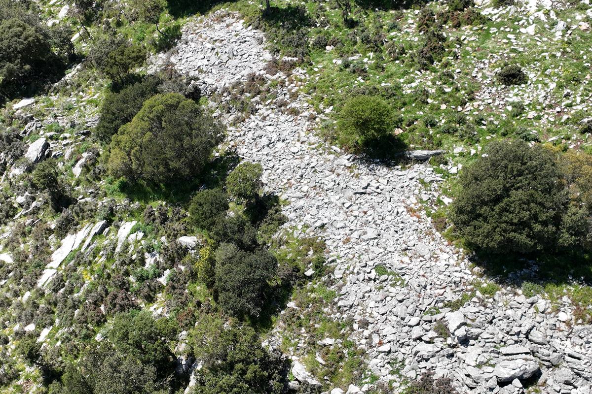 elias-mess9a.JPG