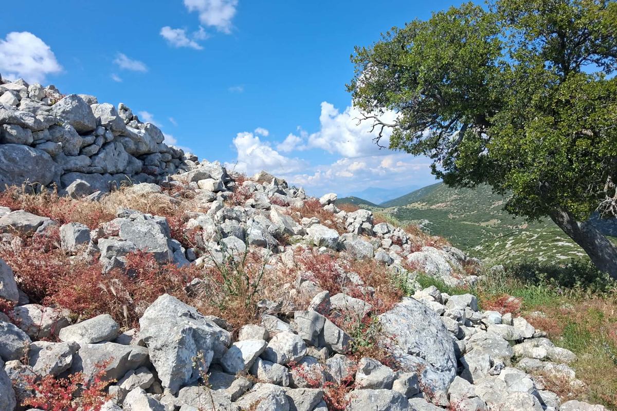 pics/elias-tax10.jpg the NW side of the fortification