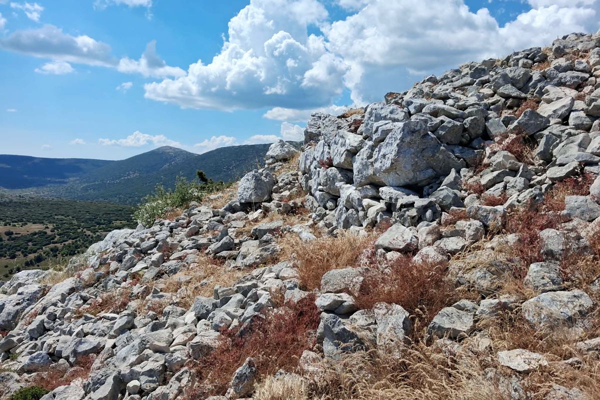 pics/elias-tax2.jpg elias-tax2