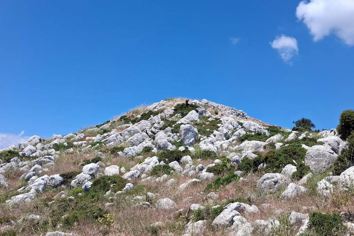 pics/elias-tax9.jpg the peak of the hill from the east
