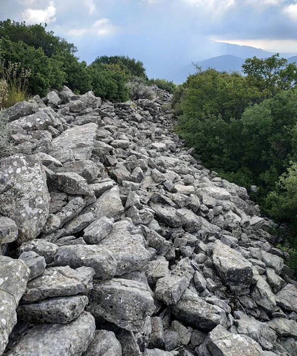 photo  Amfitreidis, 2019