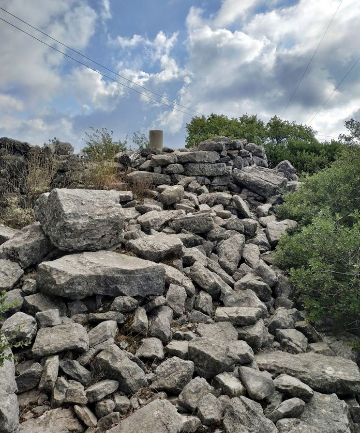 photo  Amfitreidis, 2019
