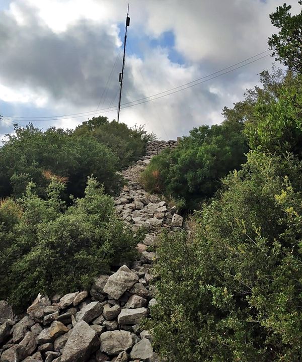 photo  Amfitreidis, 2019