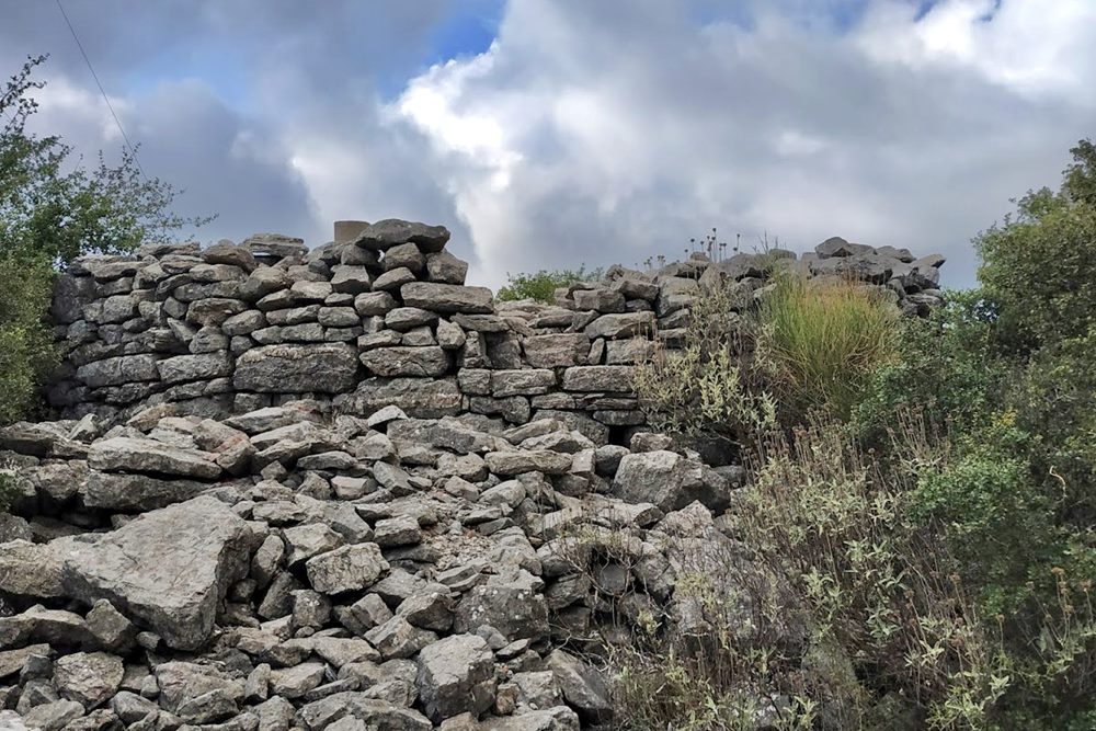 the tower, photo  Amfitreidis, 2019