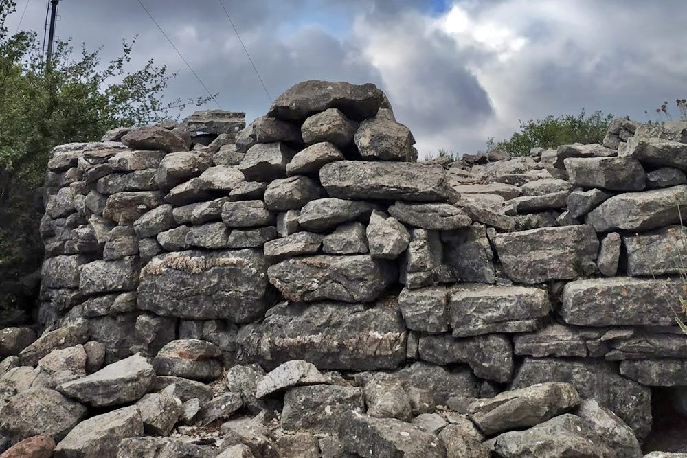 the tower, photo  Amfitreidis, 2019