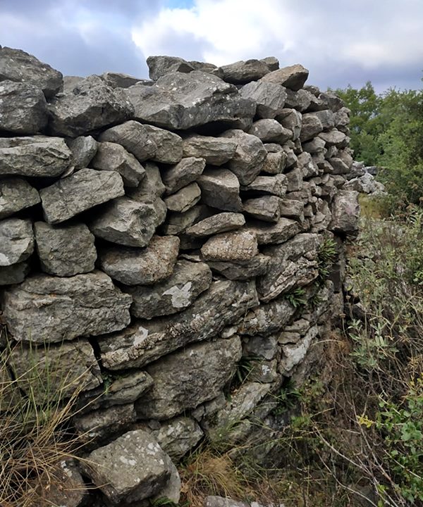 the tower, photo  Amfitreidis, 2019