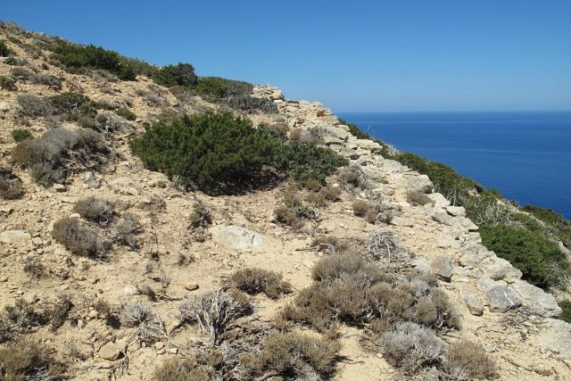 view of the NW section of the wall from the interior