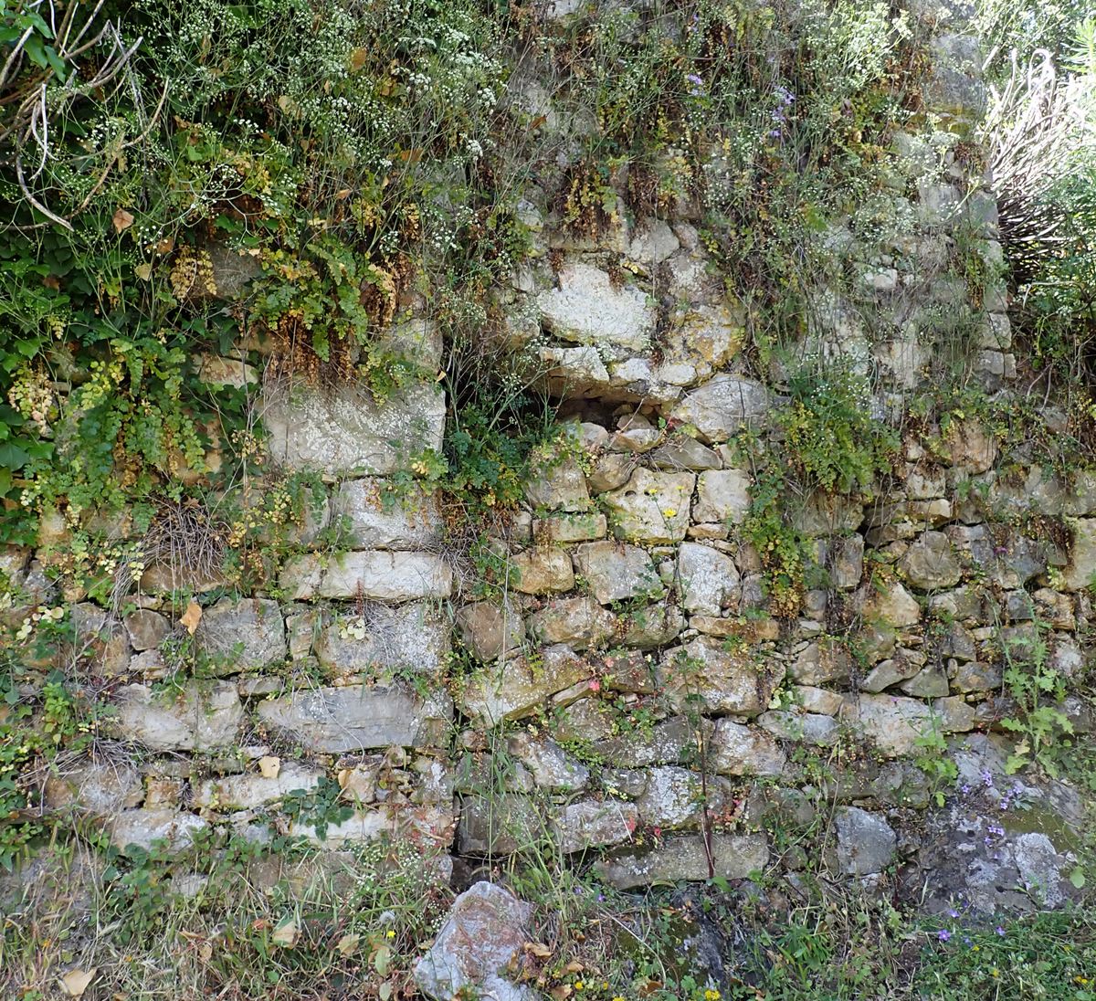 ruins of a building in the north side of the hill