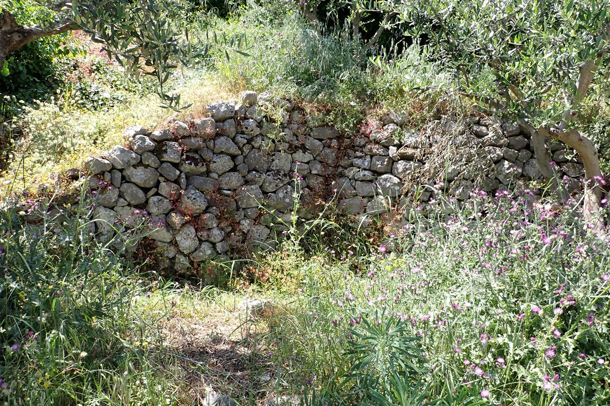 ruins of a building in the north side of the hill