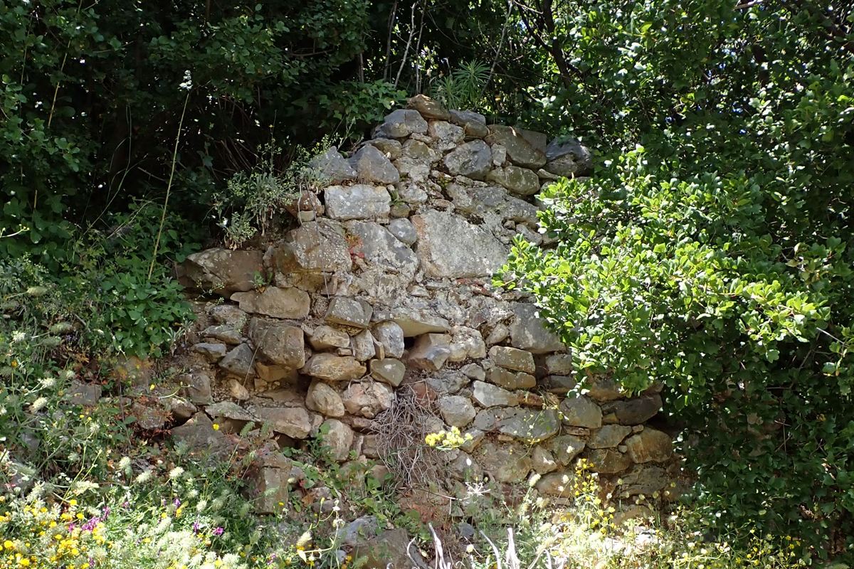 wall ruins  in the NE side of the hill