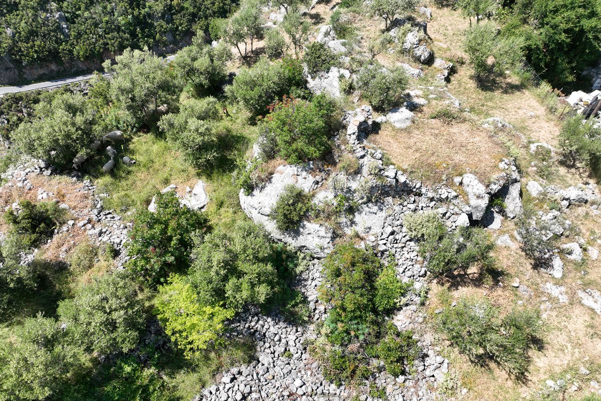 aerial view of the castle