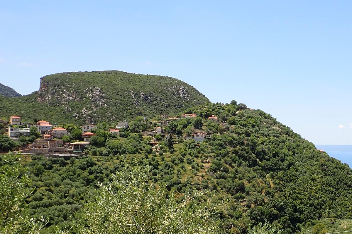 the hill of the castle from the NE