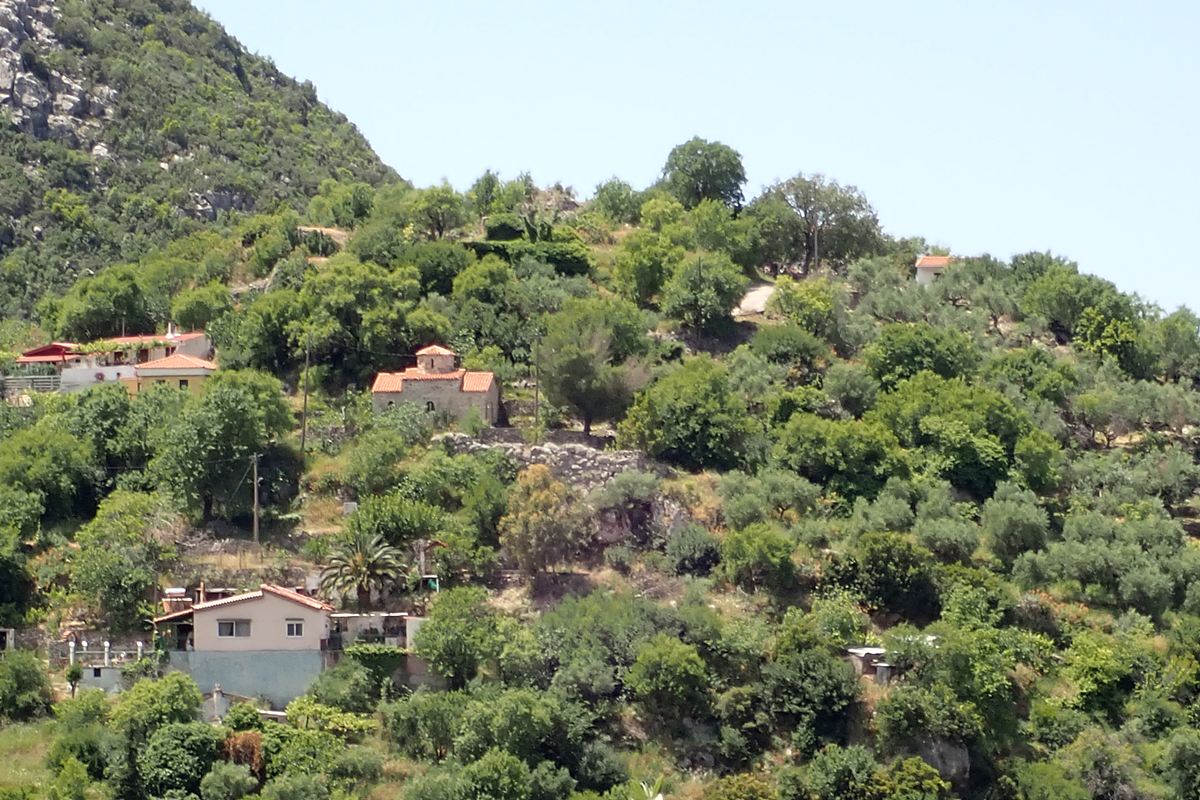 the hill of the castle from the NE