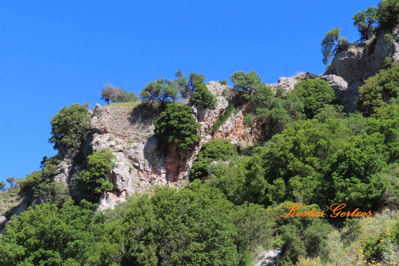 pics/kalavryta23.jpg remains of the fortification at the north side