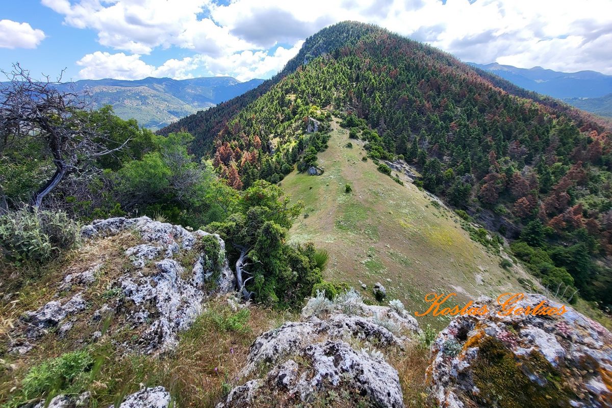 pics/kalavryta34.jpg the neck of the east side that conects with the neighboring hill-Tremoulas castl