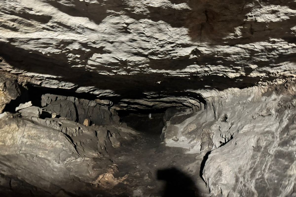 the first meters of the cave