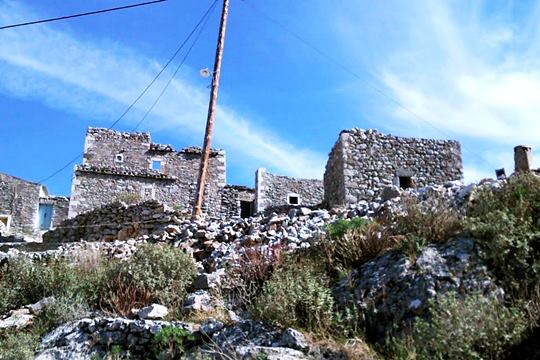 pics/kolokythia4.jpg kolokythia4