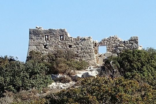 Κουλές Βασιλικής