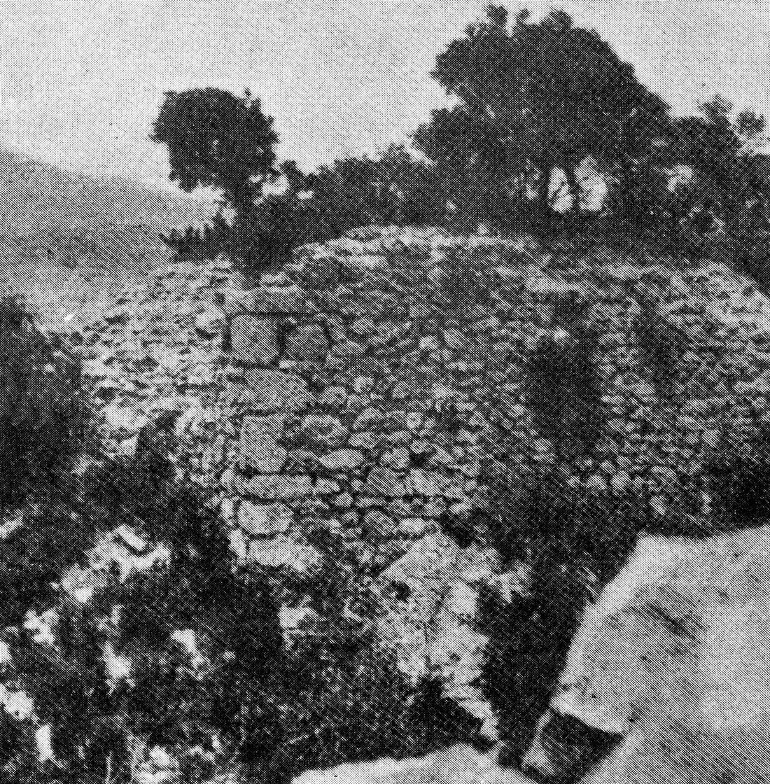 pics/kouvelos1932-kolias.jpg photo from the visit of Kollias in 1932