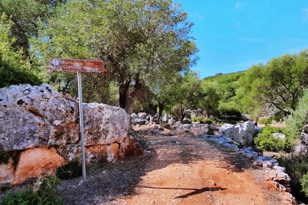 pics/krani14.jpg krani14