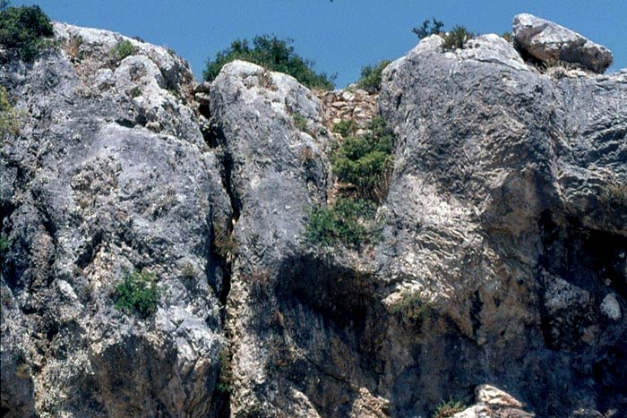 pics/lehres7.jpg Th. Skouras archives (take: 18/8/1974)