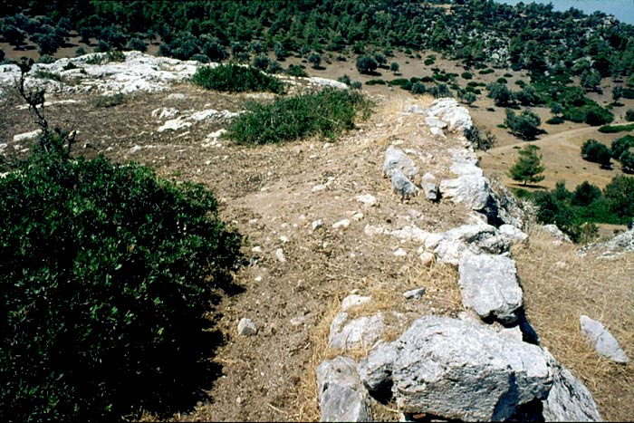 pics/lehres9.jpg Th. Skouras archives (take: 18/8/1974)