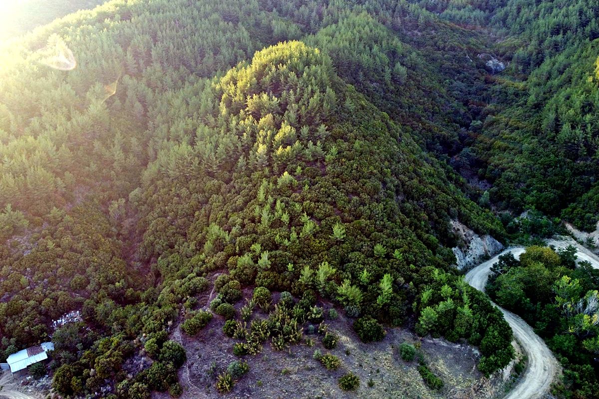 the hill of the castle from the south