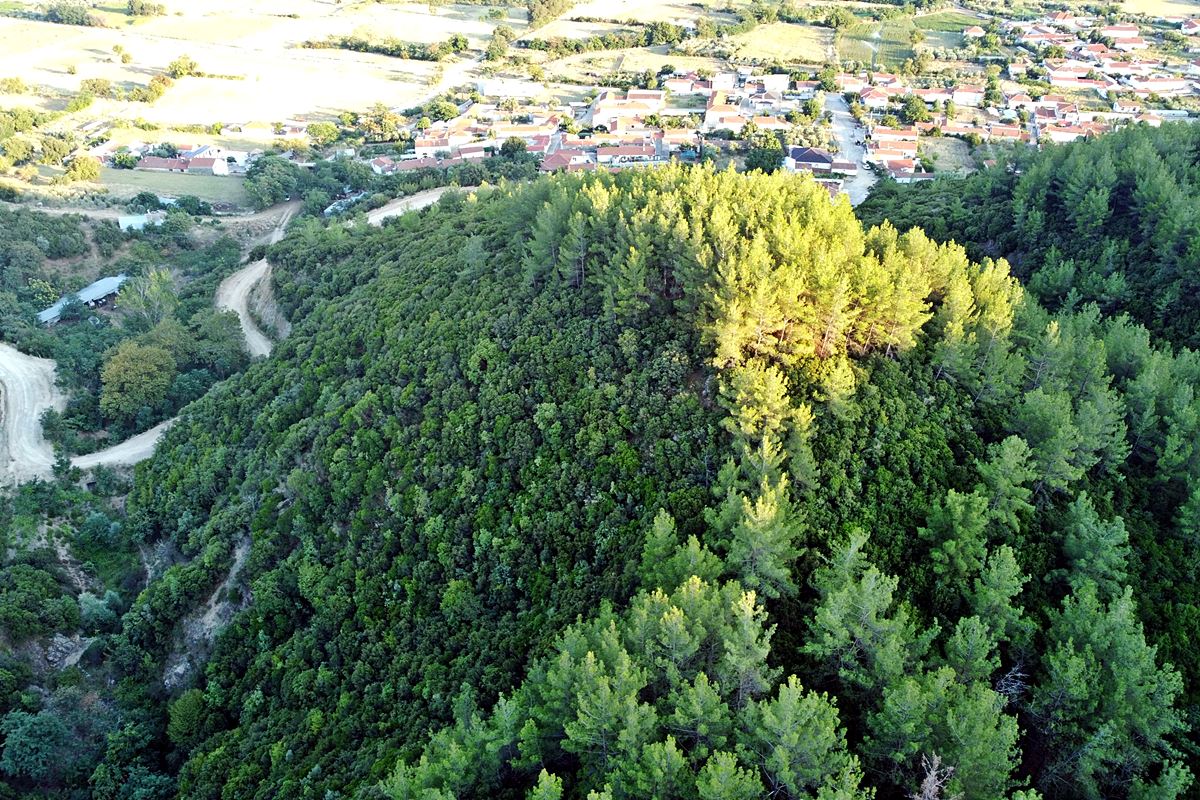 the hill of the castle from the north