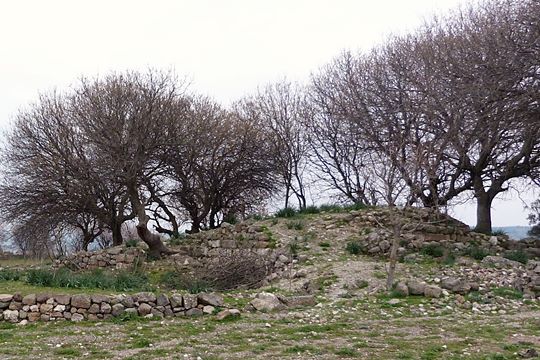 Πύργος Λισβορίου