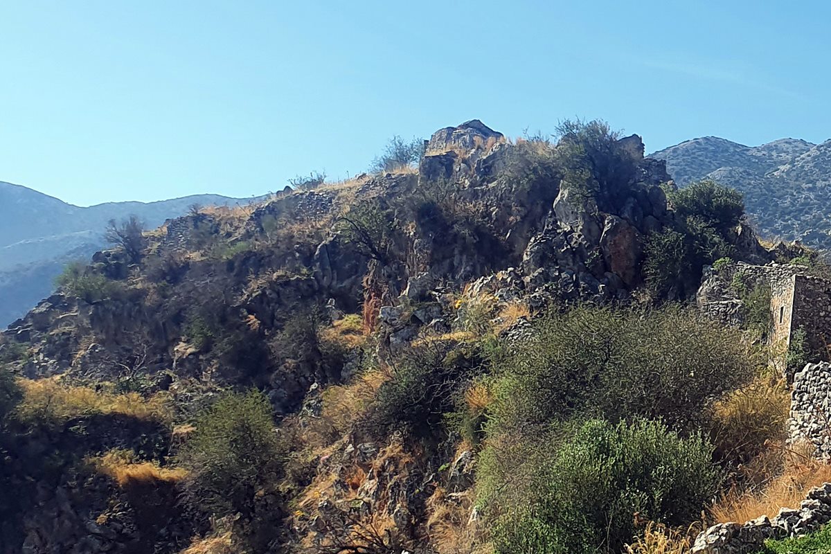 pics/loukad5.jpg photo Dionysios Xenoulis 2020