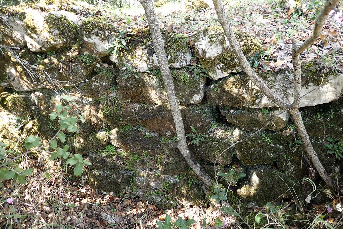 view  of outside of north castle wall