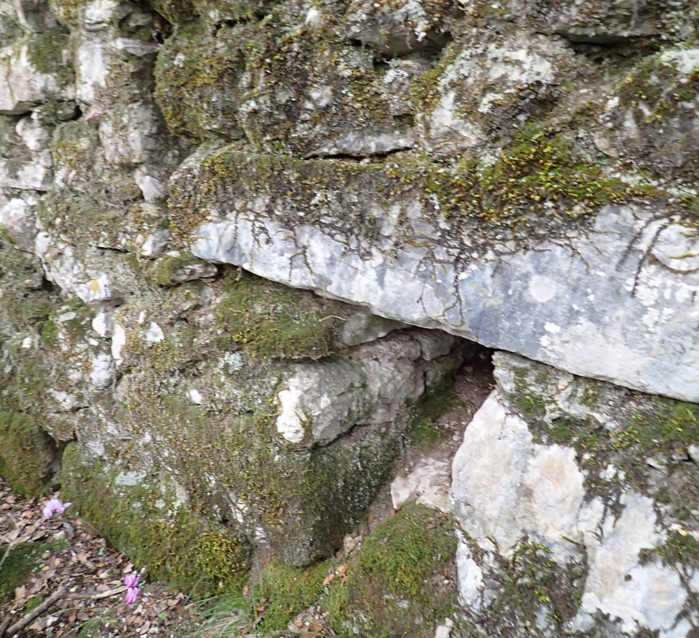 view  of outside of north castle wall