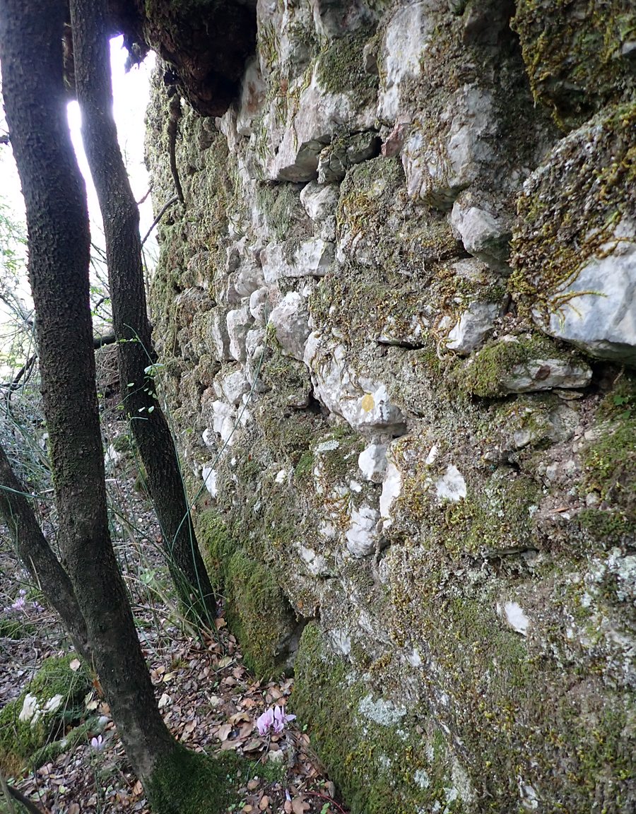 view  of outside of north castle wall