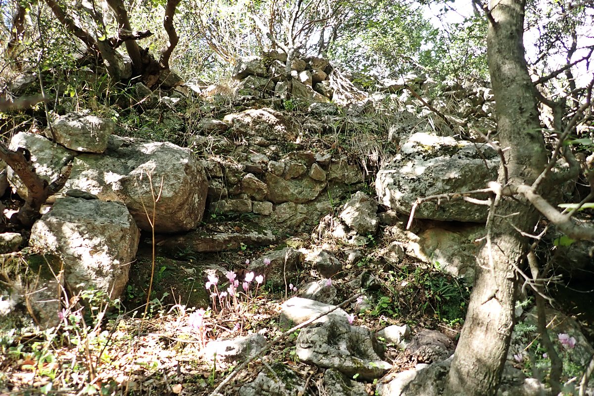 Terrace wall north entrance area with possible block tower