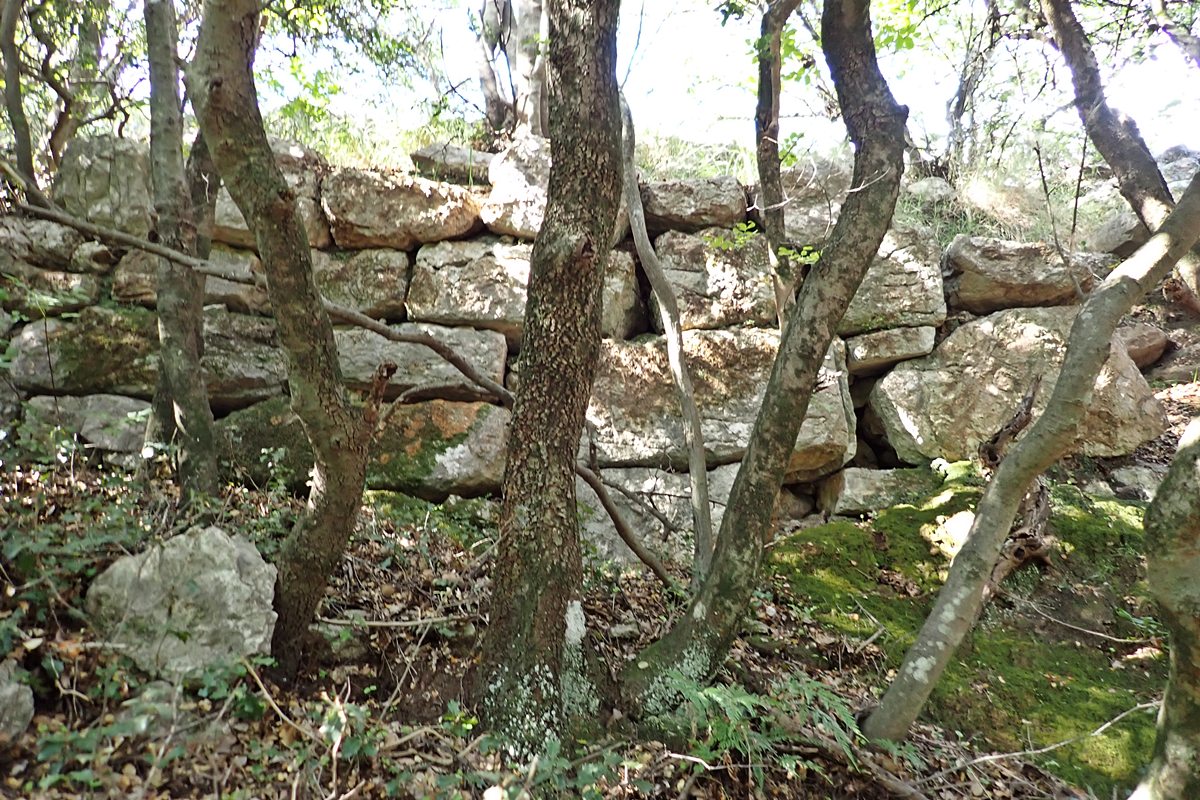 wall progressing north of entrance area on east side of castle