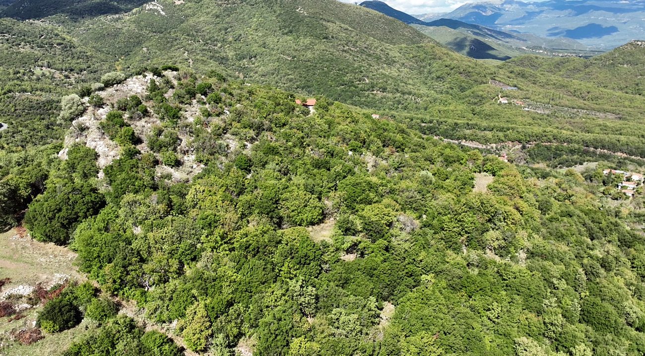 Acropolis of Lykosoura