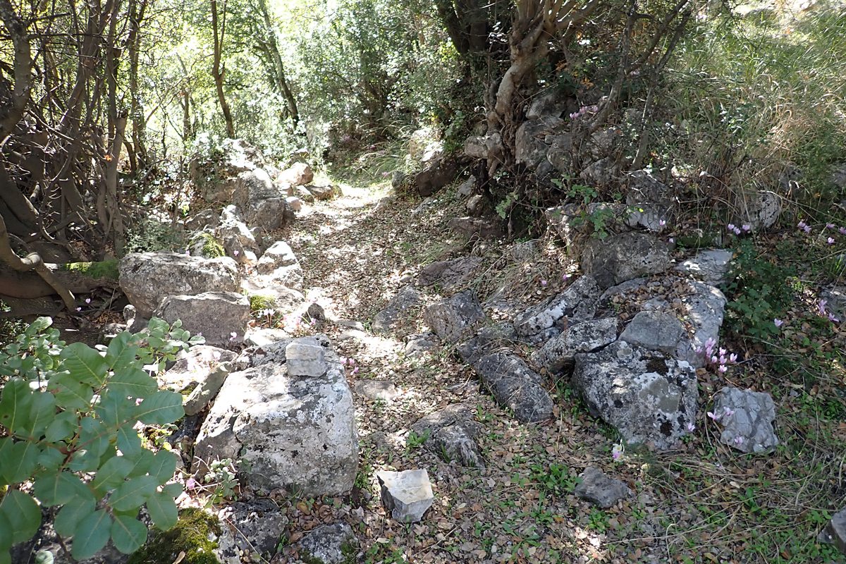 looking down path up to entrance/gate area