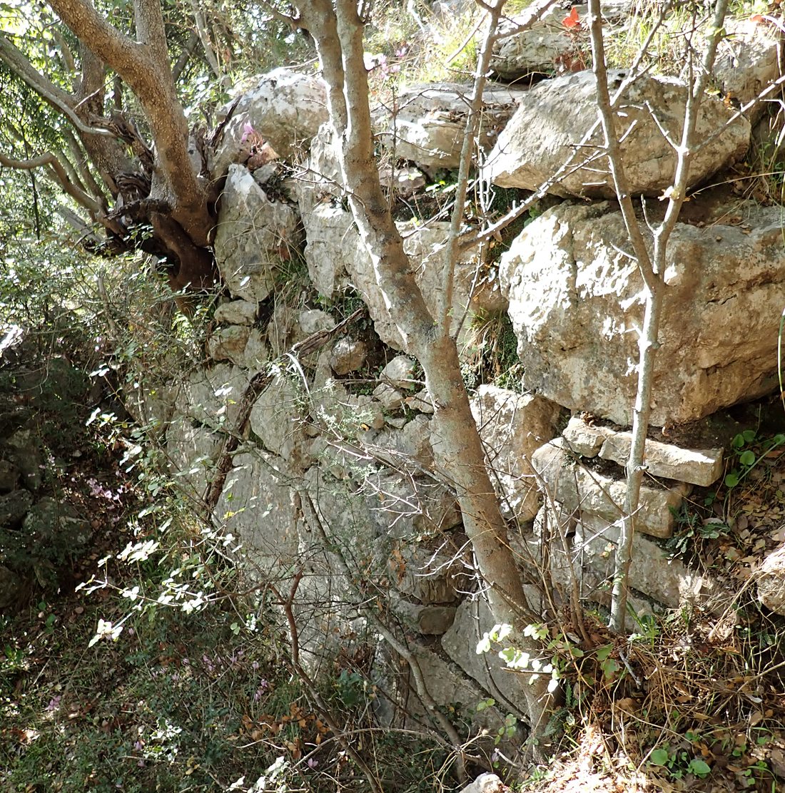 detail of wall outside the gate area