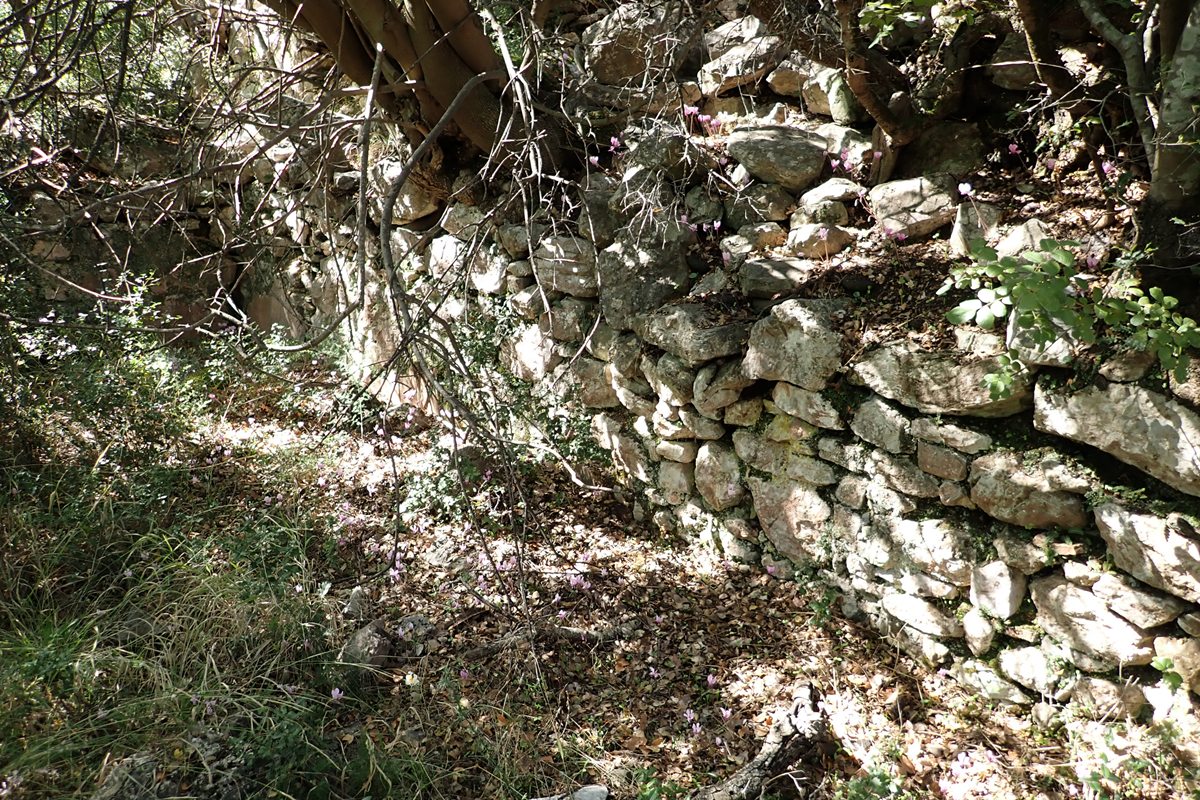 ruins of a cistern near the gate, to the south of it