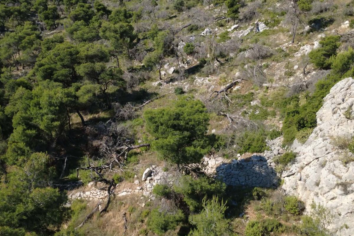 pics/marista-tax2.jpg intermediate fortification